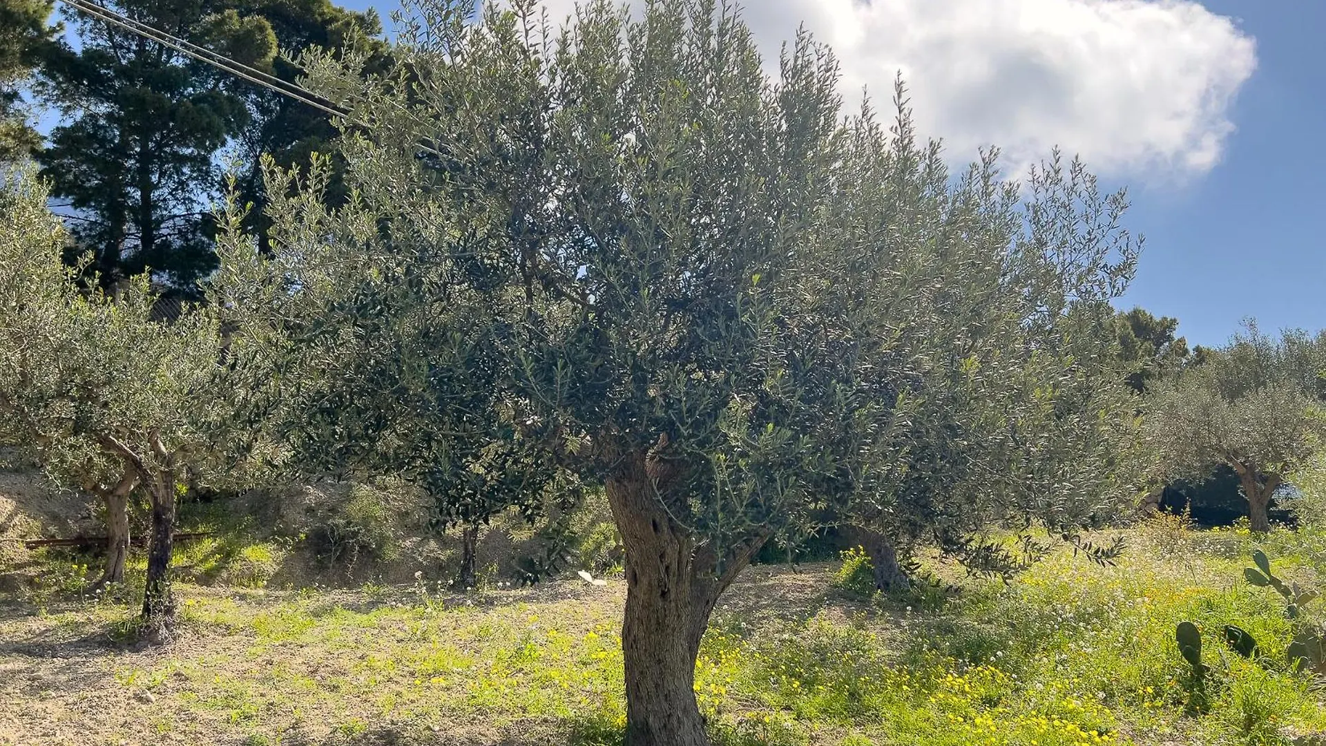 Villetta Vista Mare Con Piscina, Giardino E Parcheggio Privato Licata