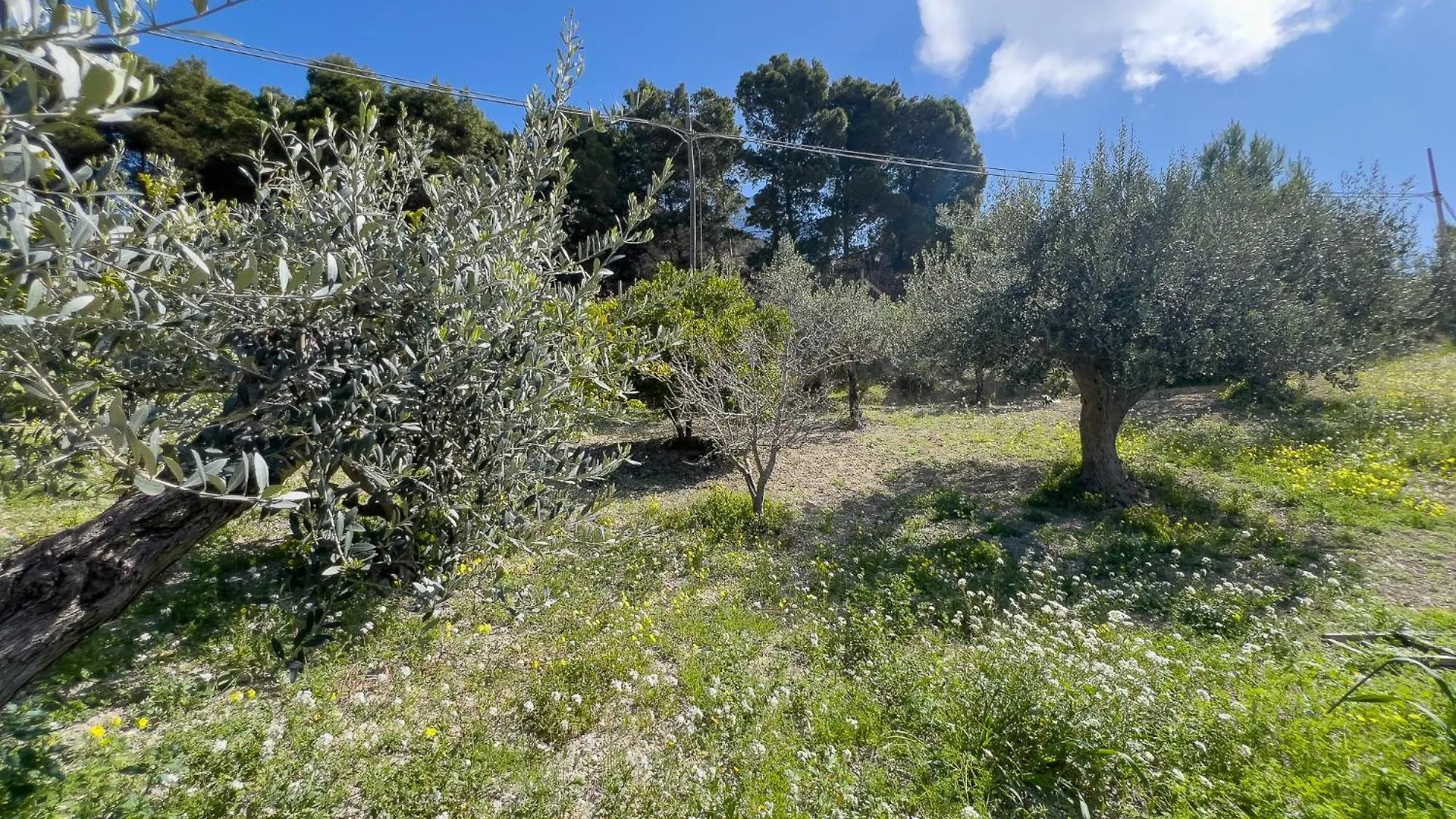 Ferienhaus Villetta Vista Mare Con Piscina, Giardino E Parcheggio Privato Licata