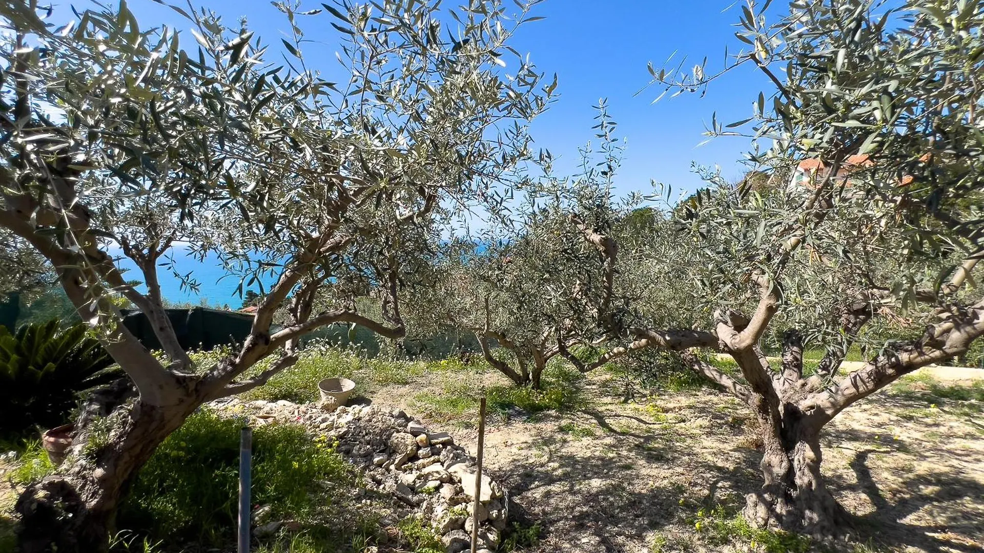 Villetta Vista Mare Con Piscina, Giardino E Parcheggio Privato Licata Ferienhaus